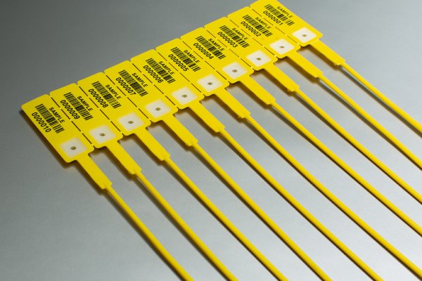 ISC411 - Isc411 3 - ISC411 